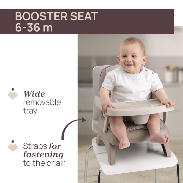 Chicco Bento Booster Seat 04087182240000