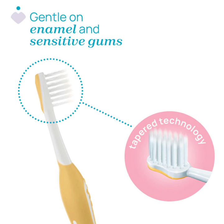 Chicco Combo First Teeth Toothbrush 6-36M 00012082000000