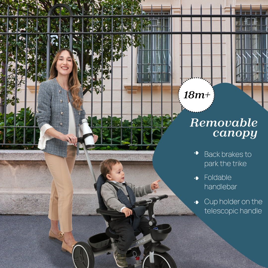 Chicco Best Friend Pro Stroller Black RE_LUX 08079866560000