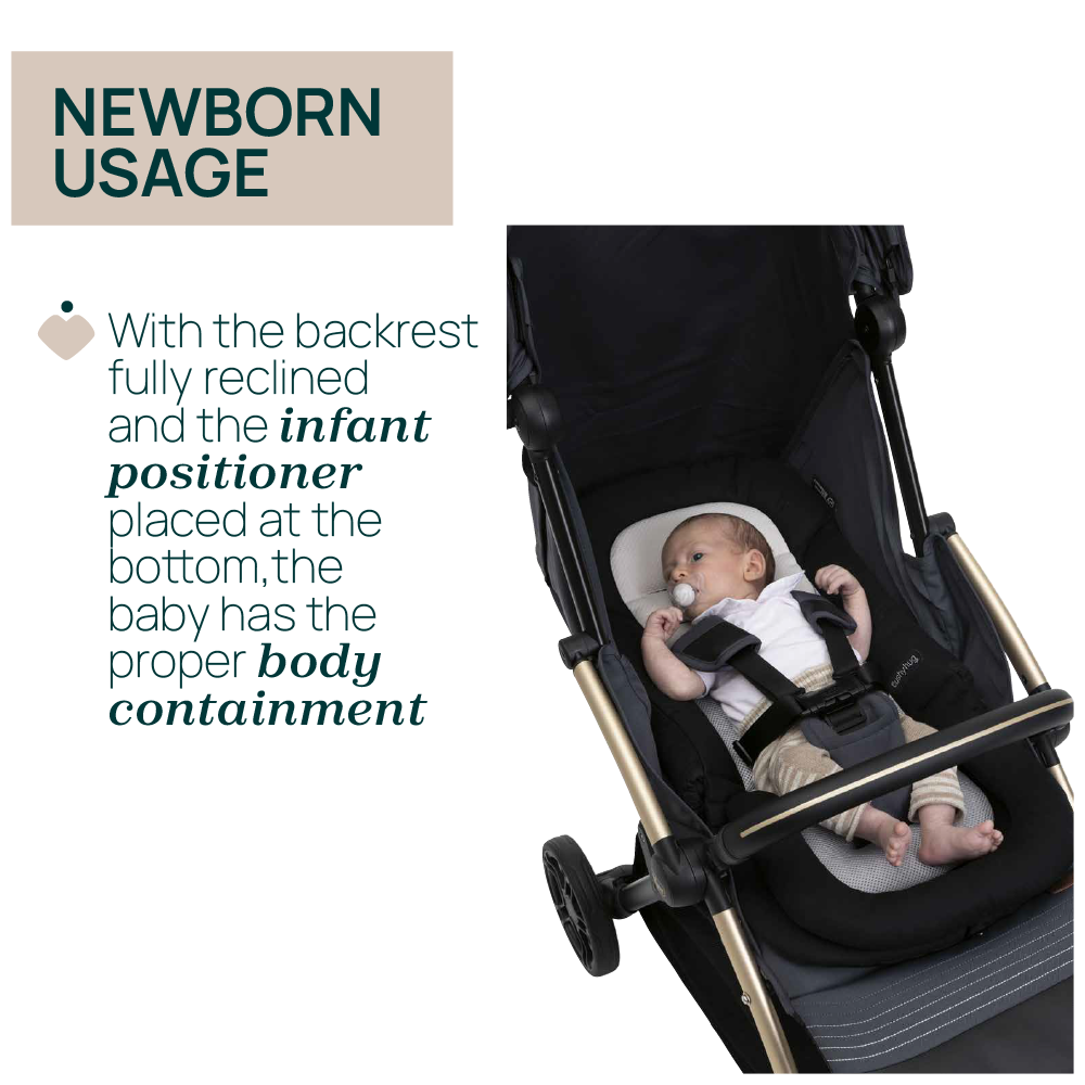 Chicco Cushy Hug Goody Xplus Goody Primo Stroller Insert 06087085950000