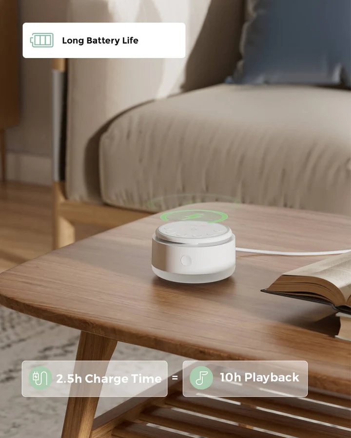 https://cdn.shopify.com/s/files/1/0659/5860/9120/files/5_2d1e74d6-c10f-4914-ac38-da3256a961f0.jpg?v=1768378461