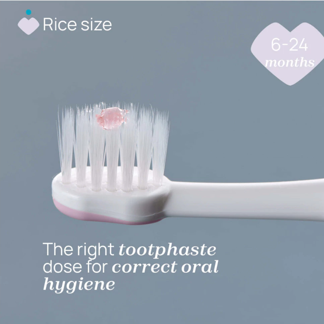 Chicco Combo First Teeth Toothbrush 6-36M 00012082000000