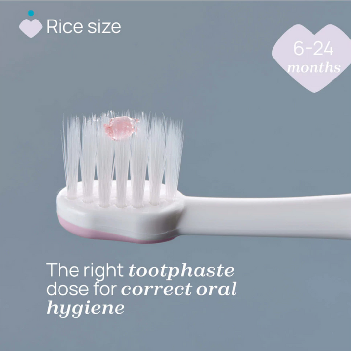 Chicco Combo First Teeth Toothbrush 6-36M 00012082000000