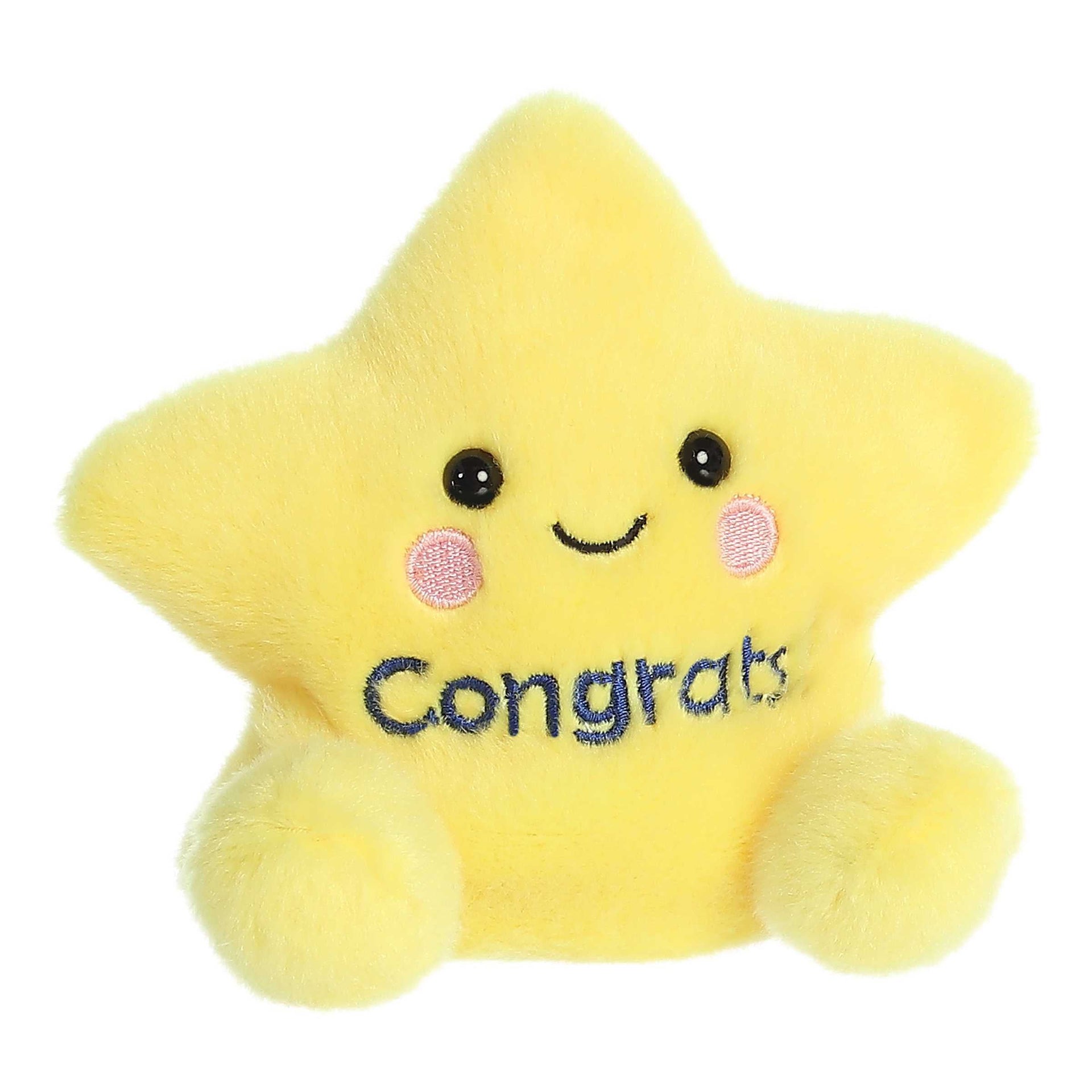 Palm Pals  Galileo Congrats Star