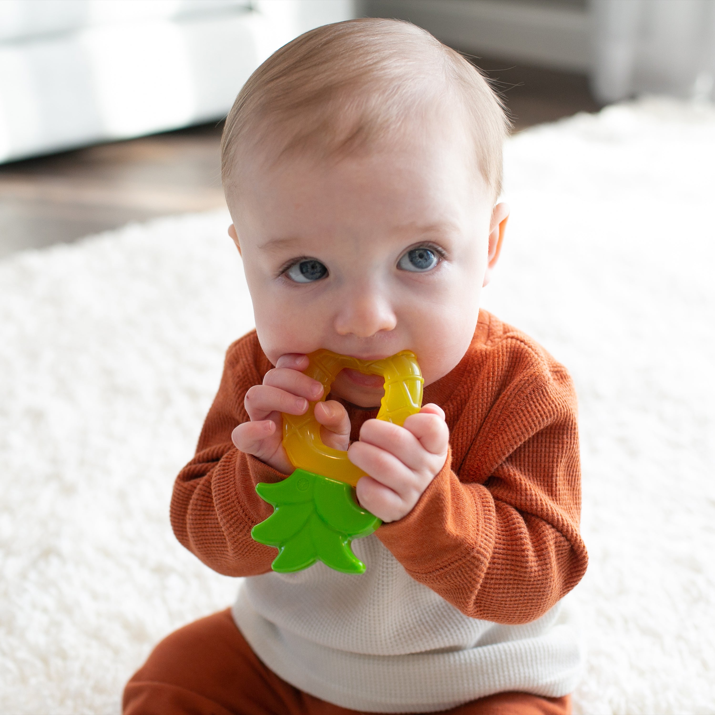 https://cdn.shopify.com/s/files/1/0659/5860/9120/files/Lifestyle_AquaCool_Water-filled_Teether_Pineapple_2_b118f7f0-92ab-4651-83fc-5d1a28bd1af1.jpg?v=1715309935
