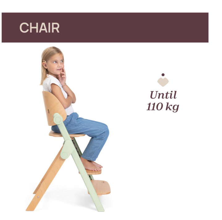 Chicco Meraviglia Highchair 3-in-1 System 04087149310000