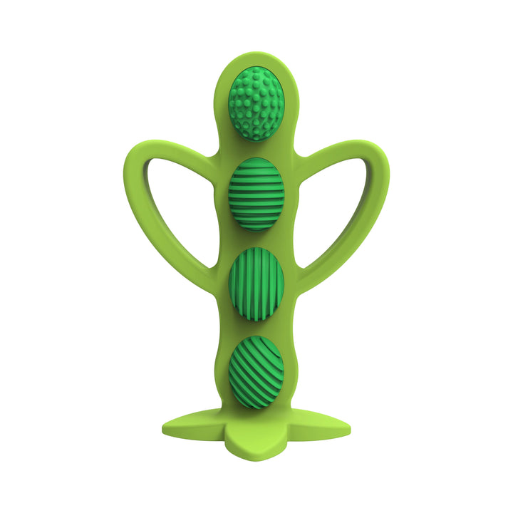 https://cdn.shopify.com/s/files/1/0659/5860/9120/files/TE224_Product_F_Teether_and_Training_Toothbrush_Peapod_1-Pack.jpg?v=1684921773