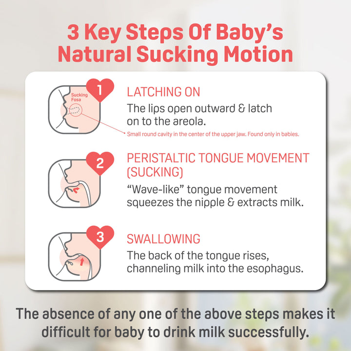 https://cdn.shopify.com/s/files/1/0681/8611/2158/files/ecomsSofTouch_E2_84_A2-Nursing-Bottle_FA_04-scaled_90ef2db0-922c-43d0-ad70-b91a216f3c47.jpg?v=1747987535