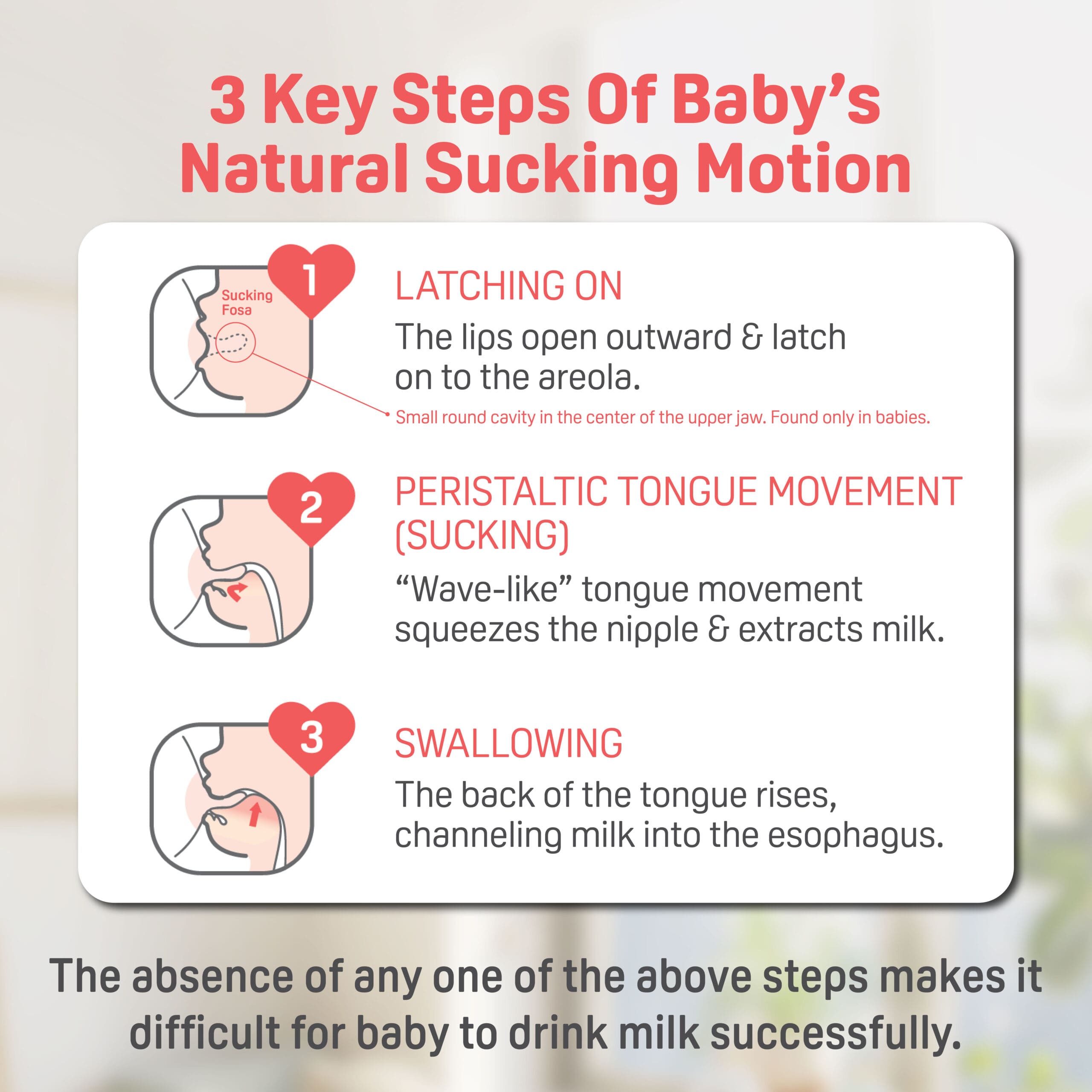 https://cdn.shopify.com/s/files/1/0681/8611/2158/files/ecomsSofTouch_E2_84_A2-Nursing-Bottle_FA_04-scaled_ad3764f8-0ada-443c-9a99-d09b250d3026.jpg?v=1747987839