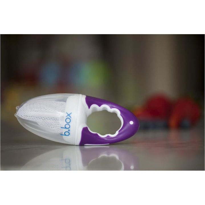 B.Box Fresh Food Feeder (Apple) | Little Baby.