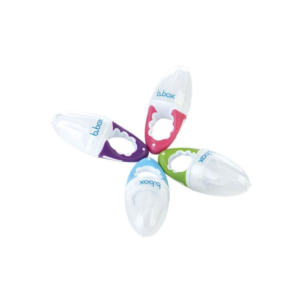 B.Box Fresh Food Feeder (Apple) | Little Baby.