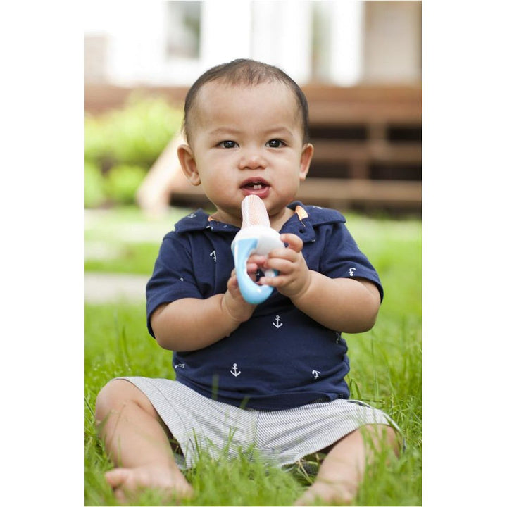 B.Box Fresh Food Feeder (Raspberry) | Little Baby.